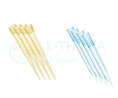 Yellow & Blue Tips