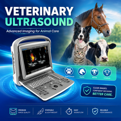 Chison Ultrasound ECO 6 VET